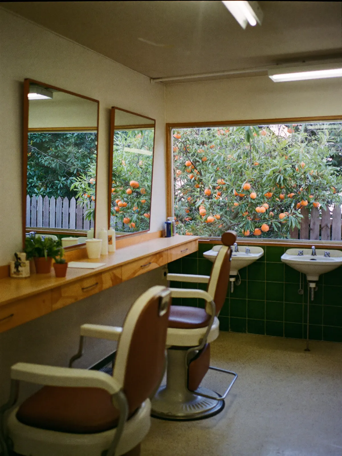 The studio after closing, lamps on, dusk behind the loquat tree.
