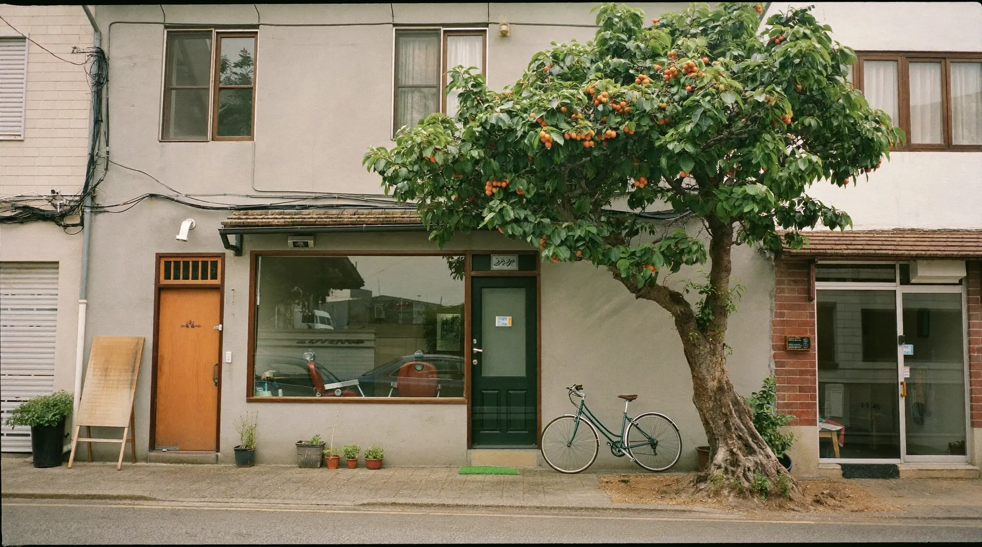 The studio from the lane: a grey plaster front, a green door and the loquat tree beside it.